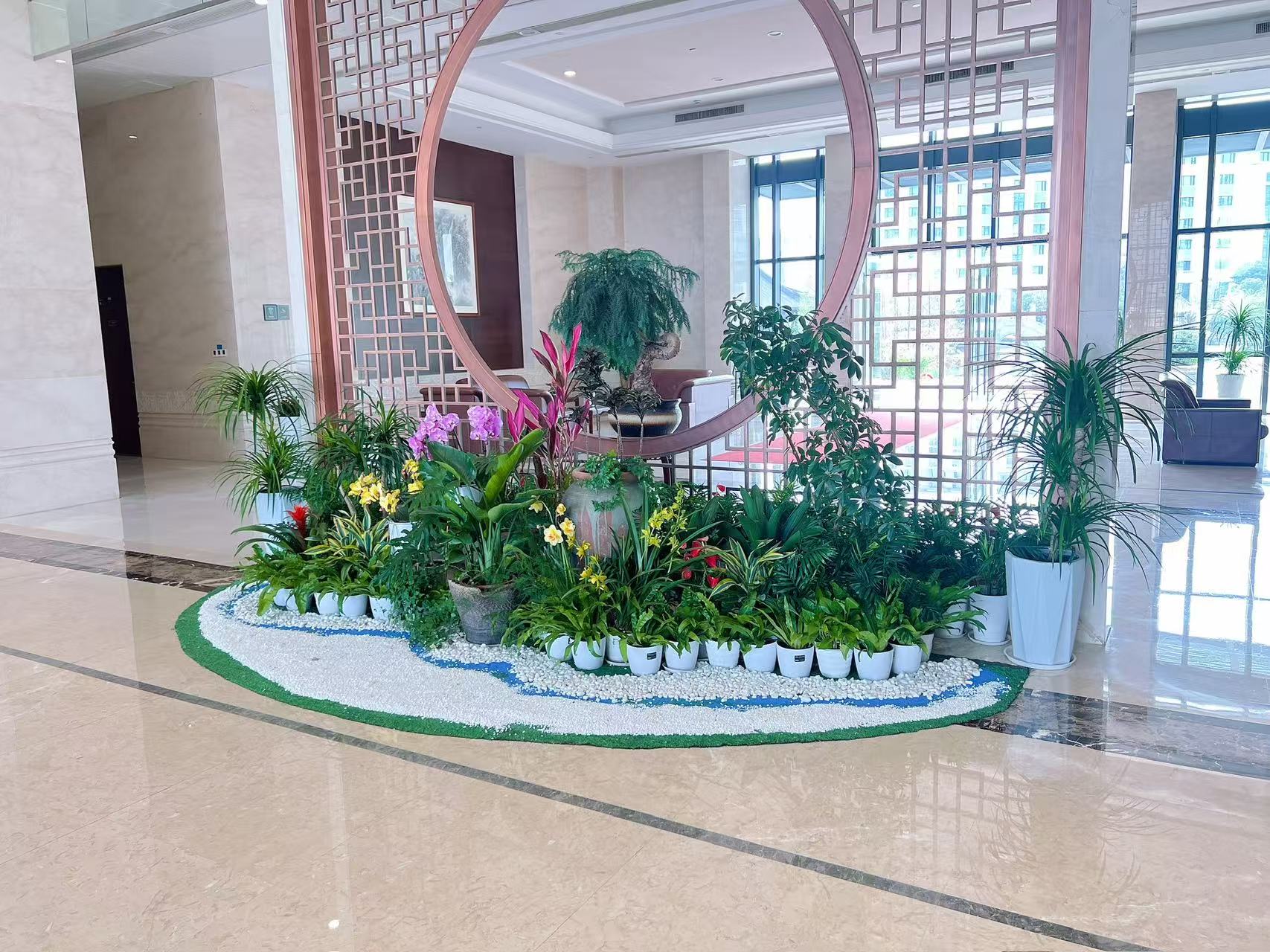 慈溪专业花卉出租，让花卉为环境焕新颜