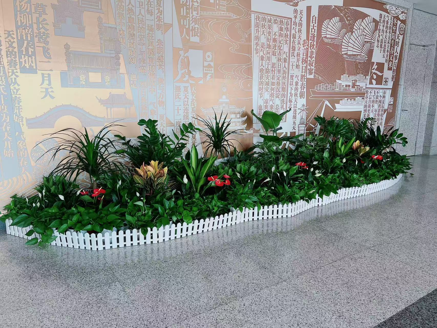 奉化花卉出租公司，开启花卉租赁新体验